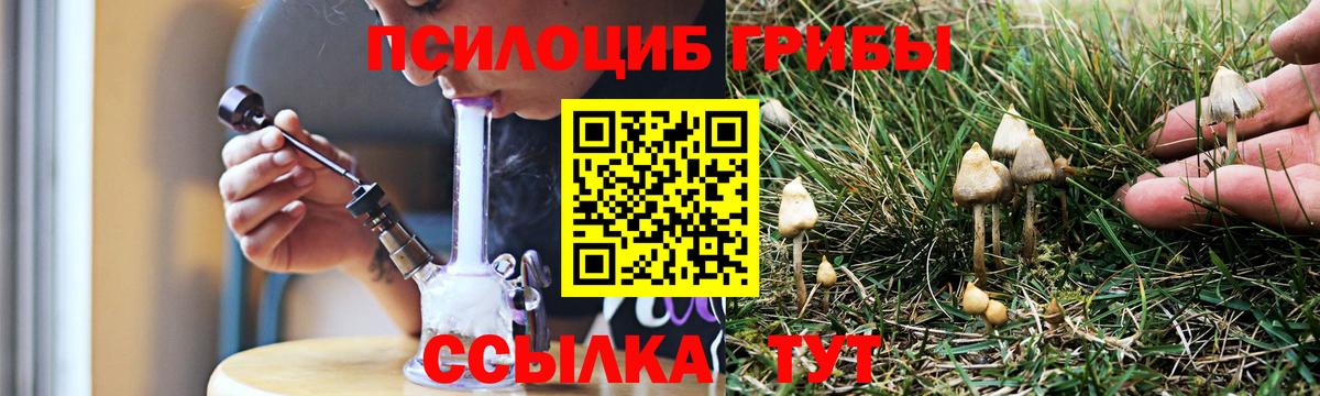 наркота  Вход с VPN  Урюпинск  Псилоцибиновые грибы GOLDEN TEACHER 