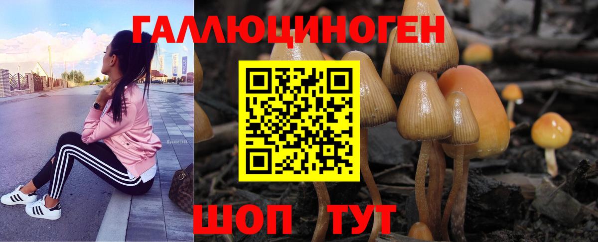 Галлюциногенные грибы Cubensis Урюпинск